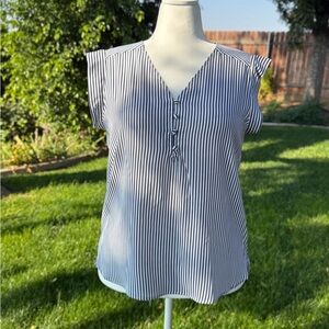 Pleione Striped Blouse